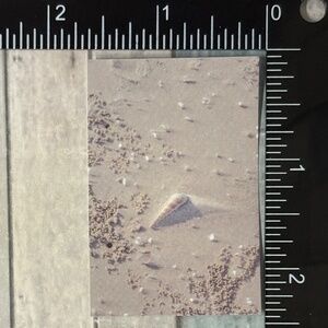 🌀10/$10🌀 White Dream Reusable Washi Sticker Decal